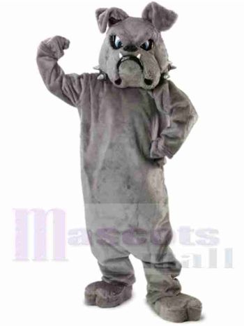 Bulldogge Maskottchen Kostüm