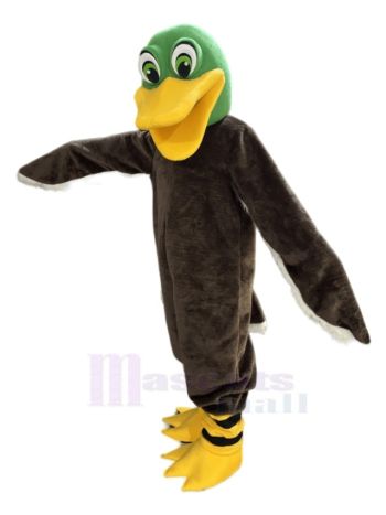 Grünkopf Ente Maskottchen Kostüme Tier
