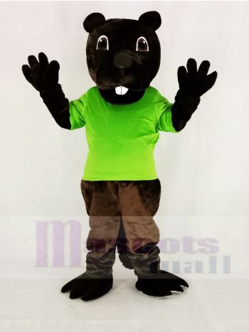 Komisch Braun Barney Biber im Grün Maskottchen Kostüm Karikatur