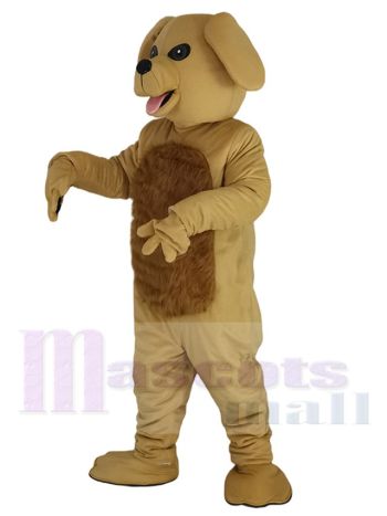 Hund maskottchen kostüm