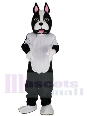 Terrier-Hund maskottchen kostüm