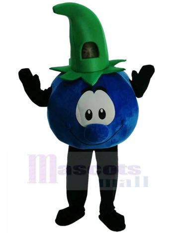 Blaubeere maskottchen kostüm