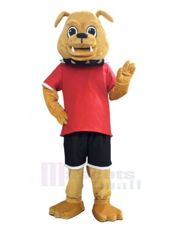 Sport Braune Bulldogge Maskottchen Kostüm Tier