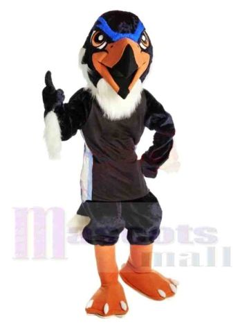 Schule Blau Falke Maskottchen Kostüm