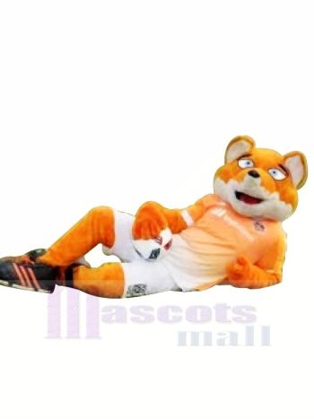 Fußball Bär Maskottchen Kostüme Karikatur