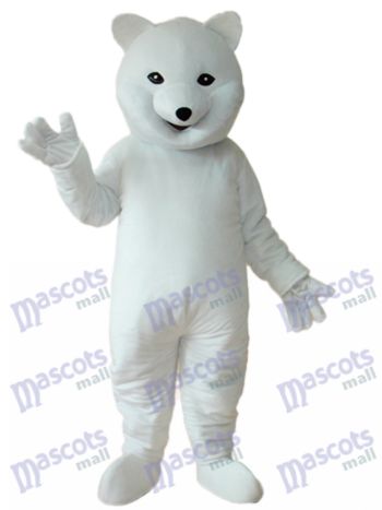 Eisbär Maskottchen Erwachsene Kostüm Tier