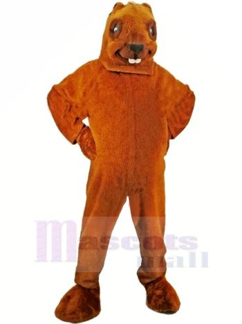 Braun Biber Maskottchen Erwachsene Kostüm