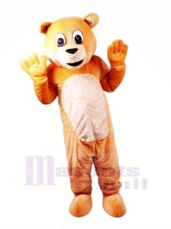 Honig Bär Maskottchen Kostüme Karikatur
