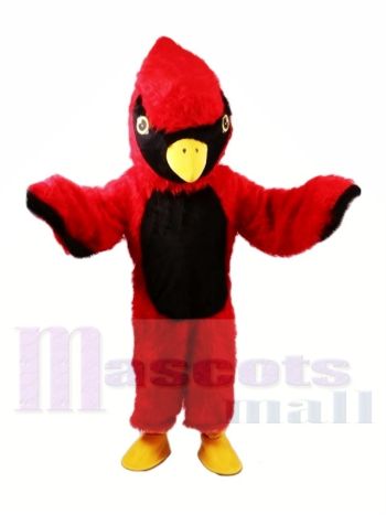 Kardinal Leicht Maskottchen Kostüme