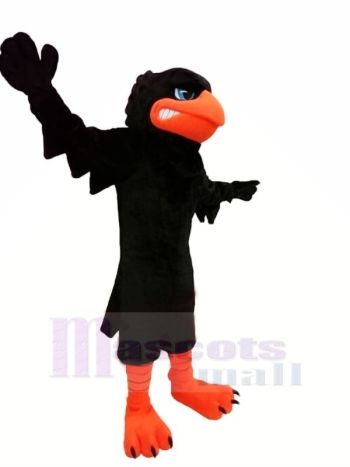 Schwarz Krähe Maskottchen Kostüme Tier