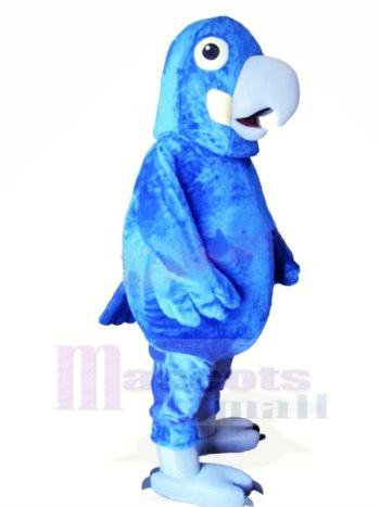 Süß Blau Papagei Maskottchen Kostüme Tier