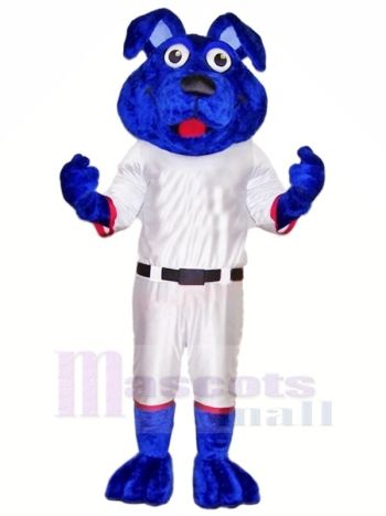 Blau Hund mit Weiß Passen Maskottchen Kostüme Tier