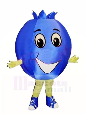 Top Qualität Blaubeere Maskottchen Kostüm