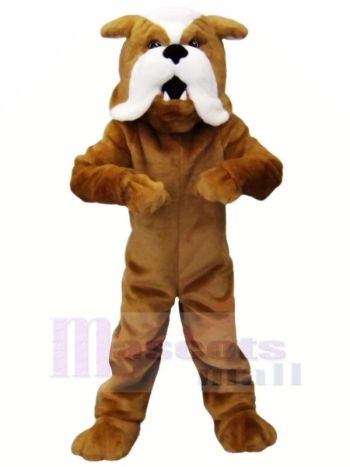 Stark Braun Bulldogge Maskottchen Kostüme Tier
