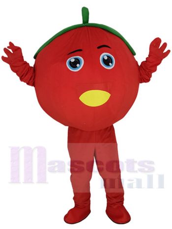 Tomate maskottchen kostüm