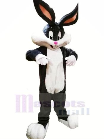 Süß Hase mit Lange Ohren Maskottchen Kostüme Tier