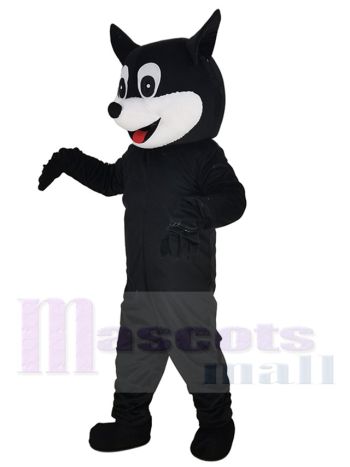 Katze maskottchen kostüm