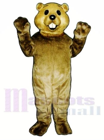 Nettes Murmeltier Maskottchen Kostüme