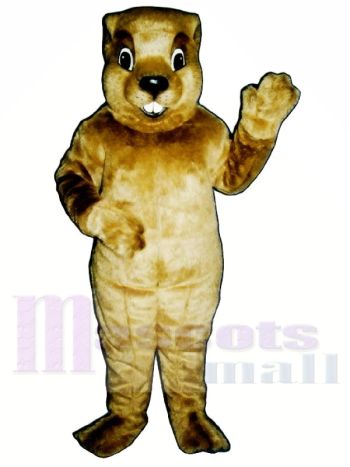 Murmeltier Maskottchen Kostüme