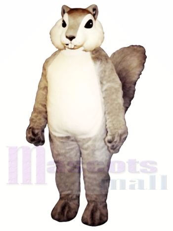 Graues Eichhörnchen Maskottchen Kostüm Tier