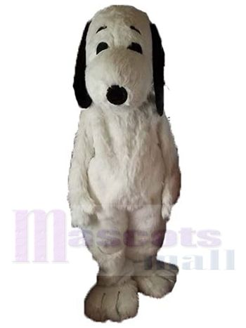Hund Maskottchenkostüm
