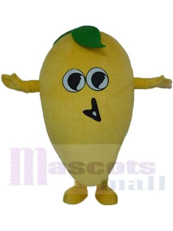 Mango Maskottchenkostüm