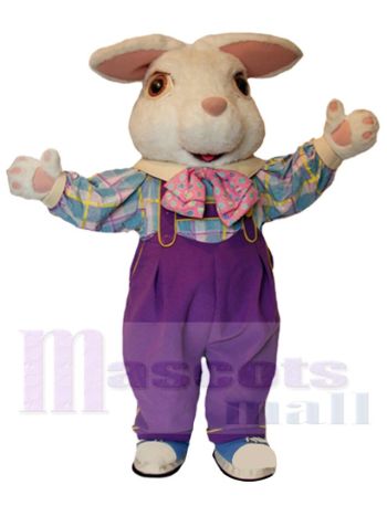 Ostern Häschen Kaninchen Maskottchenkostüm
