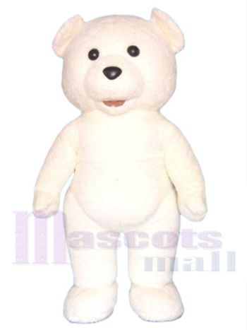 Teddybär Maskottchenkostüm