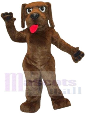 Hank-Hund Maskottchenkostüm