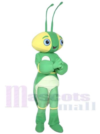 Die Manty-Mantis Maskottchenkostüm
