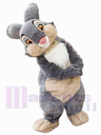 Osterhase Maskottchenkostüm