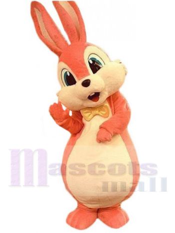 Osterhase Maskottchenkostüm