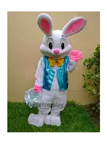 Ostern Häschen Maskottchen Kostüm Schick Kleid Karikatur Passen