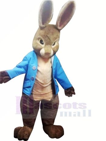 Hoch Qualität Peter Hase Maskottchen Kostüme Karikatur