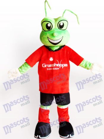 Grüner Frosch Maskottchen Kostüm