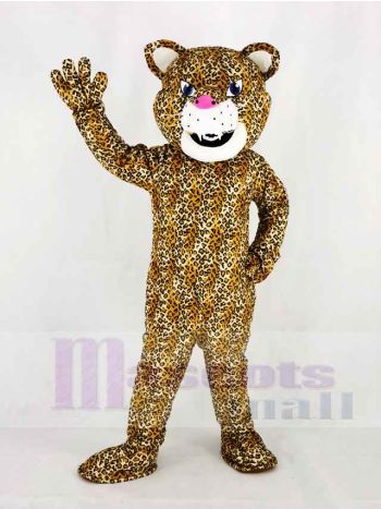 Komisch Jaguar mit Blau Augen Maskottchen Kostüm Hochschule