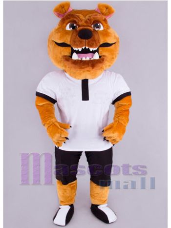Tiger maskottchen kostüm
