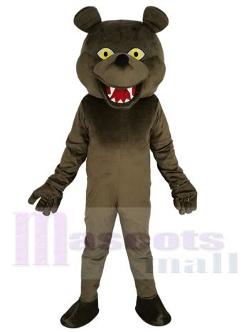 Grizzlybär maskottchen kostüm
