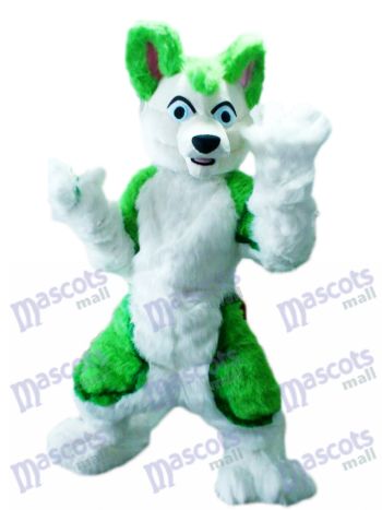 Grüner Husky Hund Maskottchen Kostüm Tier Cartoon