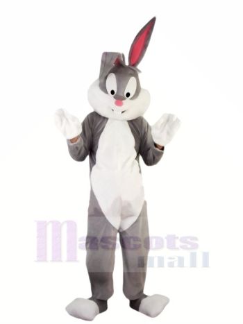 Heiß Professionelle Ostern Hase Maskottchen Kostüme Billig