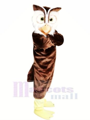Hoch Qualität Eule Maskottchen Kostüme Karikatur