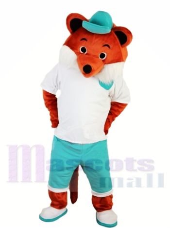 Karikatur Fuchs Maskottchen Kostüme