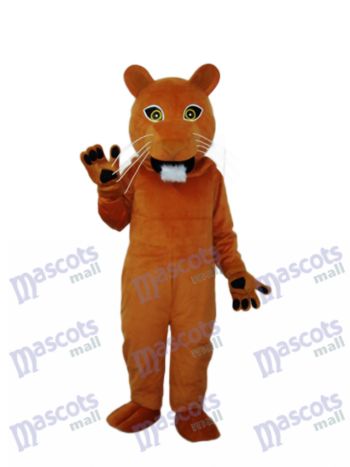 Goldenes Cougar-Maskottchen Erwachsenes Kostüm-Tier