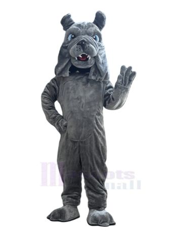 Dunkel Grau Schikanieren Bulldogge Maskottchen Kostüm Tier