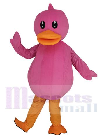 Ente maskottchen kostüm