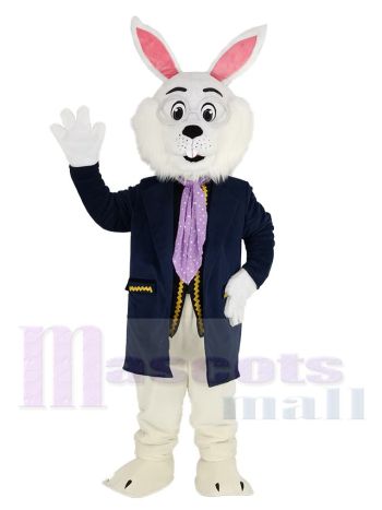 Ostern Blau Hase Kaninchen im Blau Passen Maskottchen Kostüm