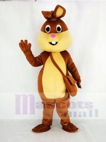 Braun Ostern Hase Maskottchen Kostüm Karikatur