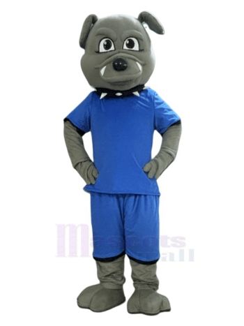 Bulldogge im blauen Trikot Maskottchen Kostüm