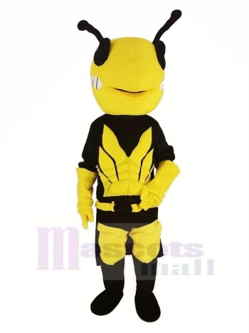 Held Biene Maskottchen Kostüm Tier