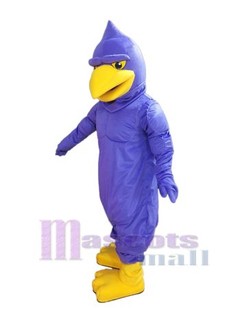 Falke maskottchen kostüm